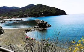 Oasi Felice
